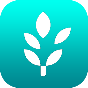 icon_leaf_284